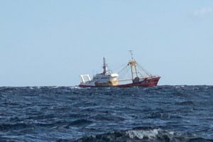Hollandske bomtrawlere fortsætter deres ulovlige piratfiskeri