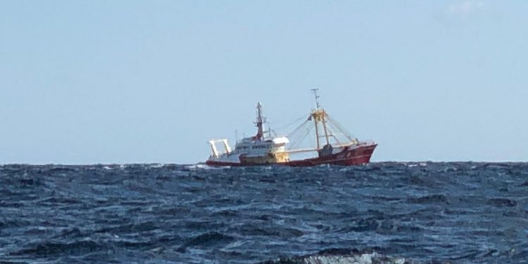 Hollandske bomtrawlere fortsætter deres ulovlige piratfiskeri