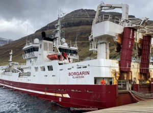 I Kollefjord landede »Borgarin« 600 tons sild. foto: Kiran J