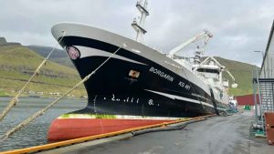 I Fuglefjord landede trawleren **Borgarin** i sidste uge en last på 1.600 tons blåhvilling til Havsbrún foto: Kiran J