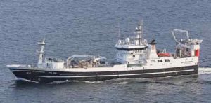 Borgarin landede i ugen en last på 500 tons som var guldlaks og blåhvilling. De har haft fint fiskeri under Færøerne tur, og landede fangsten til Varðin Pelagic. foto: kiran J