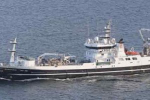Borgarin landede i ugen en last på 500 tons som var guldlaks og blåhvilling. De har haft fint fiskeri under Færøerne tur, og landede fangsten til Varðin Pelagic. foto: kiran J