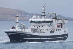 Borgarin landede i ugen en last på 200 tons guldlaks i Miðvági, som de har fisket vest under Færøerne. De har haft godt fiskeri denne tur, og tog tilbage på fiskeri efter guldlaks, da de havde landet. foto: Kiran J