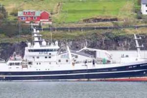 Borgarin lander 280 tons guldlaks - Kiran J