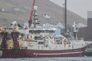 Det færøske fartøj **Borgarin** landede 2.400 tons blåhvilling til Havsbrún. foto: Borgarin - Kiran J