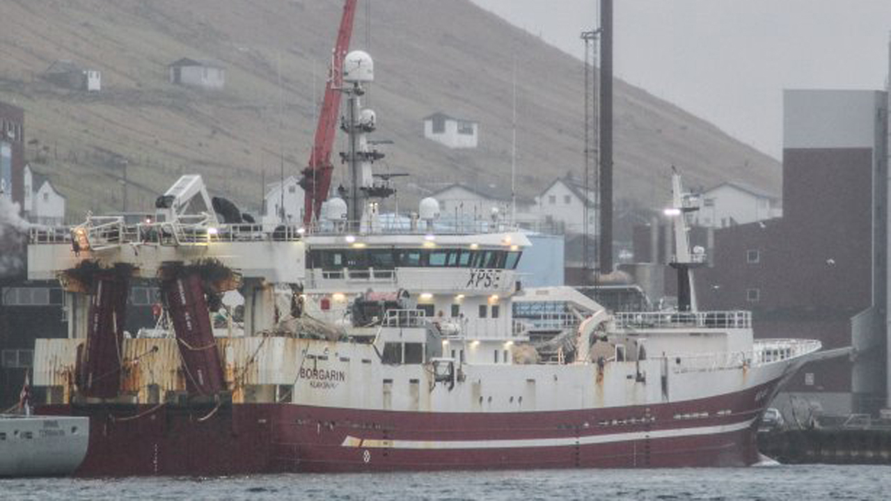 Read more about the article Færøerne: Der landes flere store fangster af blåhvilling