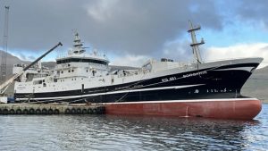 I Fuglefjord landede trawleren Borgarin i sidste uge en last på 1.700 tons sild til Pelagos. foto: Kiran J 
