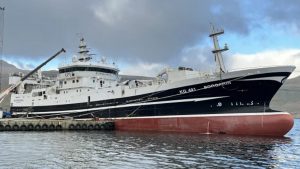 Trawleren Borgarin landede i sidste uge en last på 2.450 tons blåhvilling til Fáskrúðsfirði. foto: Kiran J 