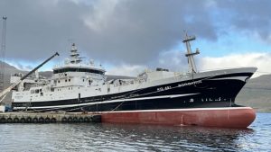 I Island landede den færøske trawler Borgarin i sidste uge en last på 2.600 tons blåhvilling, som de på tilsvarende vis har fisket ud for færøerne.  foto: Kiran J