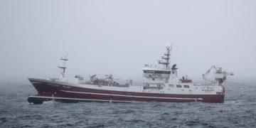Borgarin landede 1300 tons sild ved Faroe Pelagic i Kollefjord