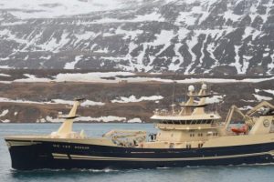 Islandsk fartøj lander endnu en rekordstor lodde-fangst foto: Borkur - Síldarvinnslan/Ómar Bogason