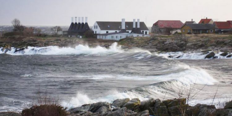 Flere penge til forarbejdning af fisk  Arkivfoto: Bornholm - CSH