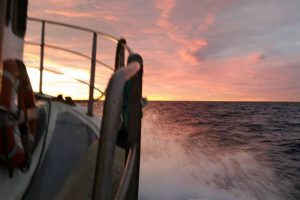 EU penge skal hjælpe bornholmske kystfiskere  Foto: billede af det bornholmske fiskeri af Claus Stenmann Hansen