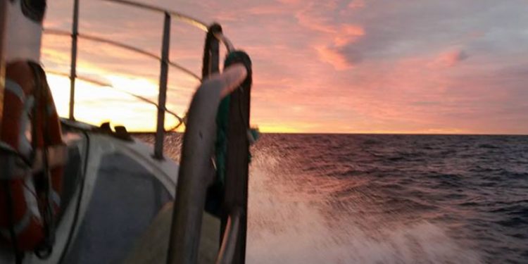 EU penge skal hjælpe bornholmske kystfiskere  Foto: billede af det bornholmske fiskeri af Claus Stenmann Hansen