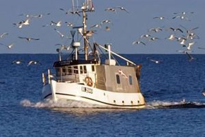 Østersøfiskere modtager million-kompensation. Foto: CSH
