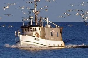 Betingelserne for erhvervsfiskeri i Østersøen for 2022. foto: CSH