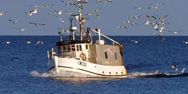 Fiskeriets svanesang i Østersøen giver trængsel i de øvrige farvande foto. CSH