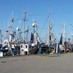 Fiskeriet kræver omstillings-parathed.  foto: Billede af bornholmske fiskere ved kaj - CSH