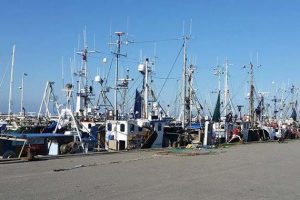 Fiskeriet kræver omstillings-parathed.  foto: Billede af bornholmske fiskere ved kaj - CSH