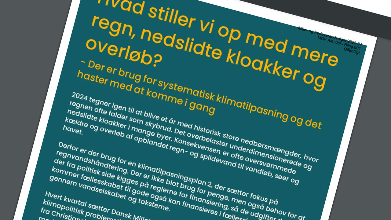 Read more about the article Det haster med en systematisk klimatilpasning