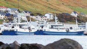 I Fuglefjord ankom det irske fartøj Brendelen forleden med en fangst på 1.150 tons blåhvilling, som de landede til Havsbrún. foto: Kiran J