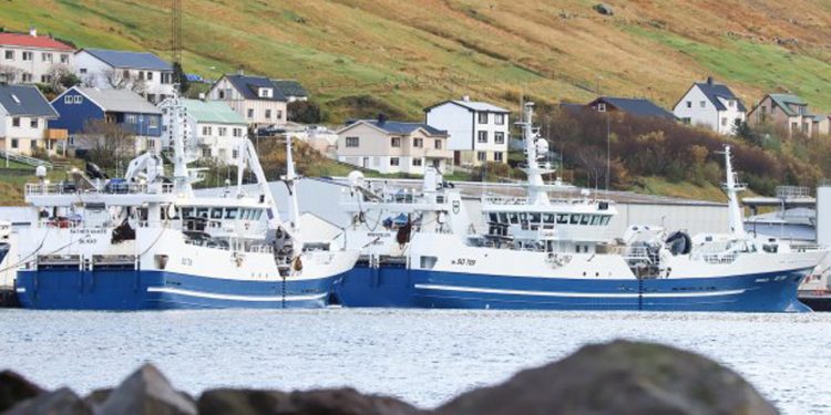 I Fuglefjord ankom det irske fartøj Brendelen forleden med en fangst på 1.150 tons blåhvilling, som de landede til Havsbrún. foto: Kiran J