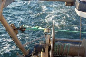 DTU Aqua: Fiskerne har ikke ændret fiskerimønster pga. kameraerne ombord. foto: Brian