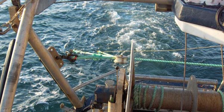 Read more about the article DTU Aqua: Fiskerne har ikke ændret fiskerimønster pga. kameraerne ombord