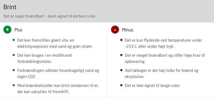 Brint - dtu