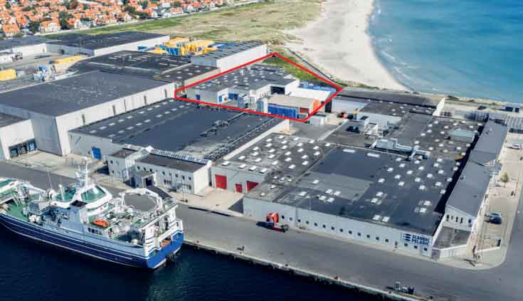 Read more about the article Produktionen af brisling er kommet godt fra start