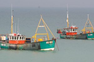 30.000 tons flere fisk til britiske fiskere i 2023 end før Brexit. arkivfoto: FiskerForum