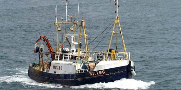 Skotske fiskere melder nu om enorme mængder torsk i Nordsøen.  Foto: Budding Rose  fotograf: Japottinger