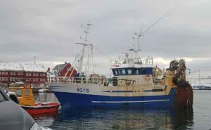 Også i Klaksvík blev der landet havtaske i ugens løb. Den mindre trawler **Búgvin** kom i havn med 5,5 tons, primært havtaske.  foto: TJ Fiskur.fo