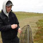 Sildefiskeriet skuffer i Ringkøbing Fjord