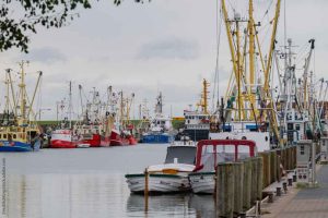 I dag har Europa-Kommissionen taget et vigtigt skridt mod at forenkle fangst-rapporteringen for fiskeriet med usorterede pelagiske arter. Ved at offentliggøre en første liste over lossehavne gør EU-Kommissionen det muligt for fiskeri-operatører i disse havne at benytte sig af en undtagelse fra reglen om tolerance-margin – under forudsætning af, at der i havnene er robuste kontrolforanstaltninger på plads. foto: EU