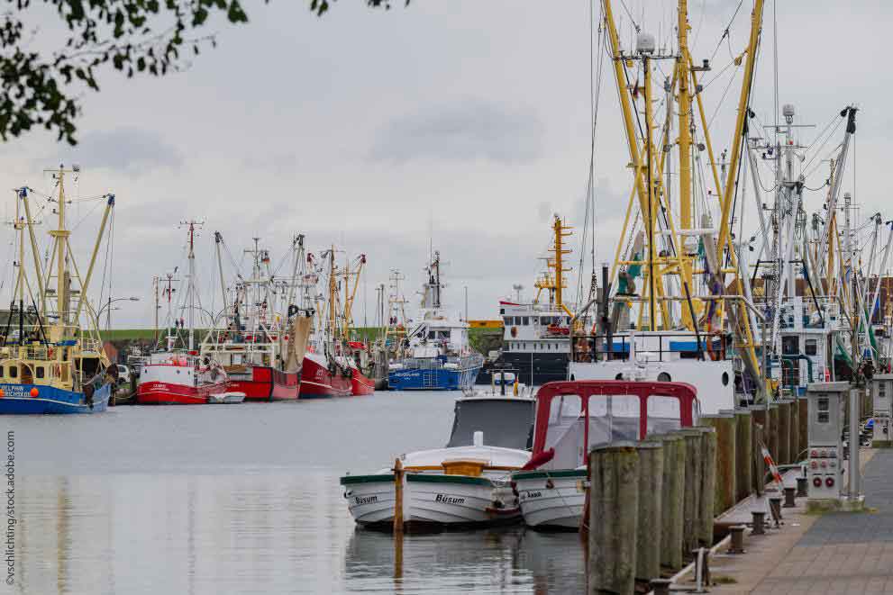 Read more about the article EU-Kommissionen forenkler indberetningspligt for usorterede fangster af små pelagiske fisk