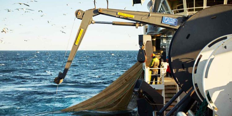 En af de største aktuelle udfordringer for dansk fiskeri er den kommende CO2-afgift, som indføres fra 2025. Når afgiften er fuldt implementeret, vil danske fiskere skulle betale 2,25 kr. pr. liter brændstof, de bruger under fiskeri. Formålet med afgiften er at fremme anvendelsen af alternative brændstoffer og dermed reducere fiskeriets CO2-udledning. Problemet er, at der på nuværende tidspunkt ikke findes realistiske alternativer til den dieselolie, der bruges i fiskeriet. foto: MID