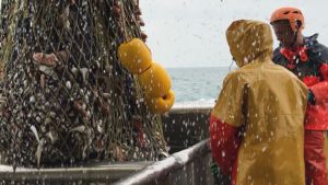 Hollandske fiskeres håb om brændstof-kompensation er nu næsten i mål foto: Visserbonds.nl