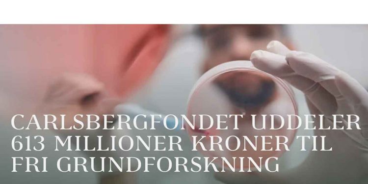 Carlsbergfondet uddeler knap 613 mio. kr. til 188 videnskabelige aktiviteter, som over de kommende år vil kaste nye fundamentale indsigter og opdagelser af sig. foto: Carlsbergfondet