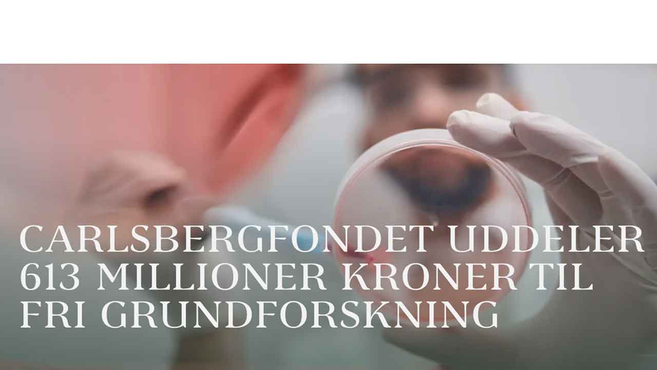 Read more about the article DTU-forskere modtager million bevillinger fra Carlsbergfondet