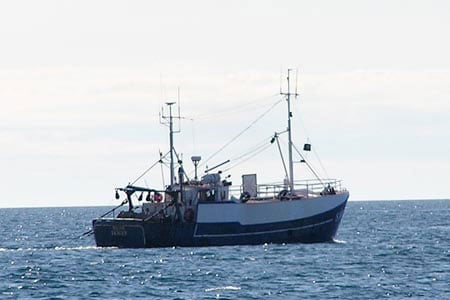Read more about the article Hummertrawler solgt til ung fisker fra Hanstholm