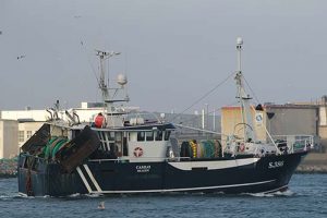 Fiskernes egen mening om fordele og ulemper ved kvotesystemet  Foto: »Casilo« HHansen