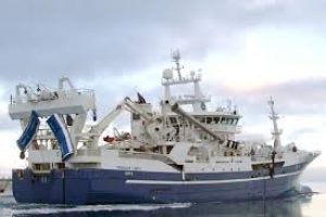 Værdien af pelagiske fangster på Færøerne var rekordstore i 2016.  Foto:Den færøske pelagiske trawler »Tróndur í Gøtu« leverer en blåhvillingefangst på 1100 tons til Varðin Pelagic i Tvøroyri.