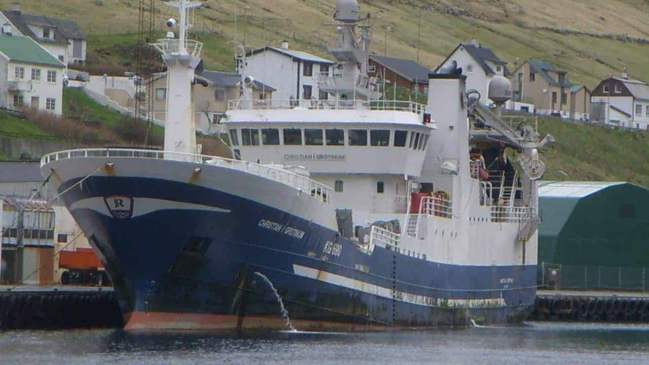 Read more about the article Færøerne: blåhvilling har flyttet sig ned mod Shetlandsøerne