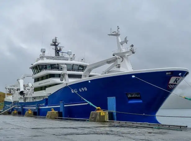 Read more about the article Færøerne: Alletiders blåhvilling-fangst landet i Norge