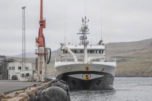 Færøerne: Fiskefabrikkerne modtager blåhvilling og lodde samt sild og makrel. foto: Christian - Kran J