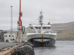 Færøerne: Fiskefabrikkerne modtager blåhvilling og lodde samt sild og makrel. foto: Christian - Kran J