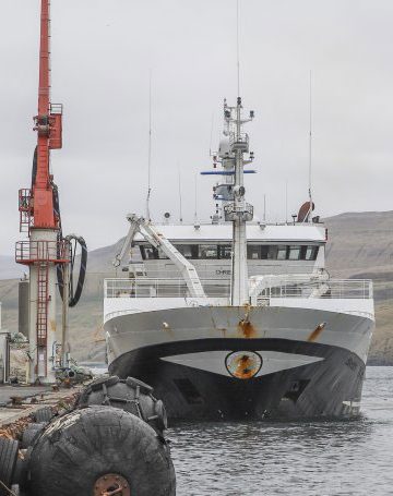 Færøerne: Fiskefabrikkerne modtager blåhvilling og lodde samt sild og makrel. foto: Christian - Kran J
