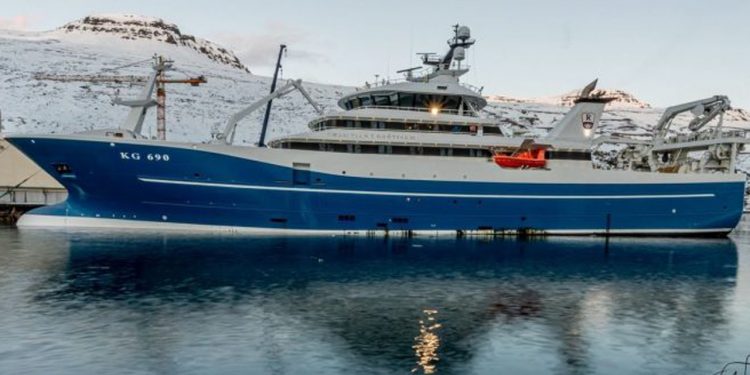 Read more about the article Færøerne: Fantastiske blåhvilling-fangster