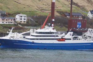 Den færøske trawler **Christian í Grótinum** har eksempelvis landet 2.700 tons blåhvilling til Havsbrún efter et vellykket fiskeri ved Island. foto: Kiran J